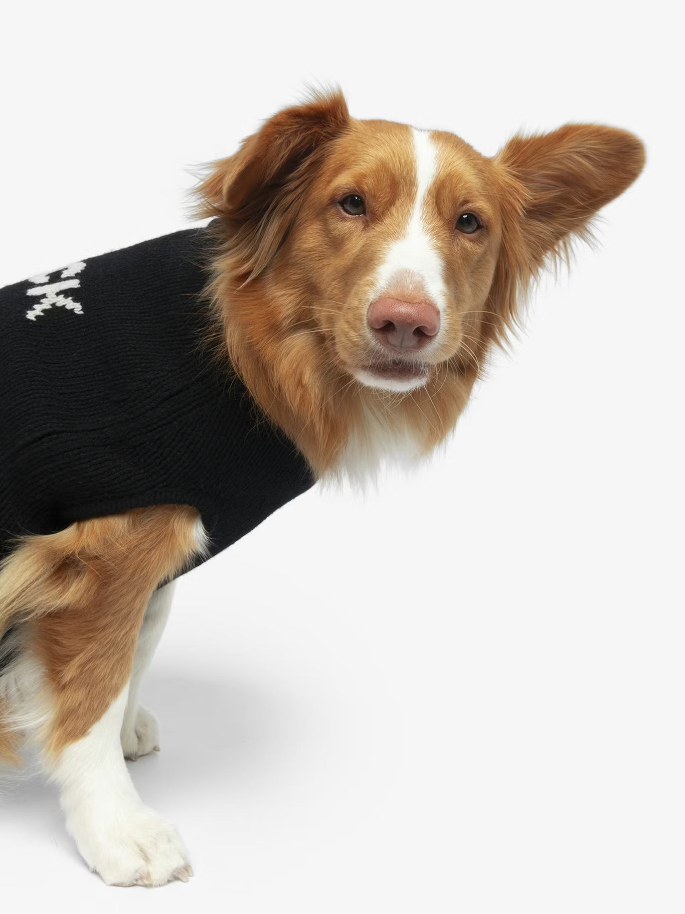 ZADOG WE SWEATER