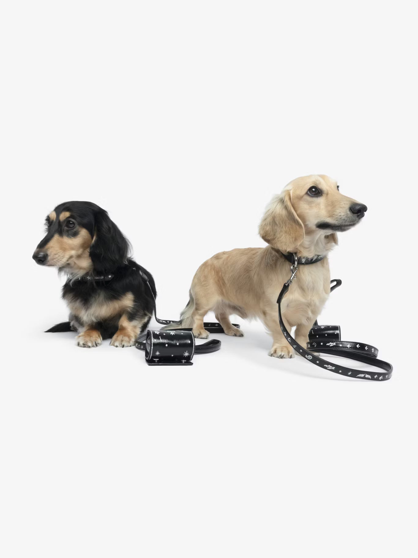 ZADOG BAG