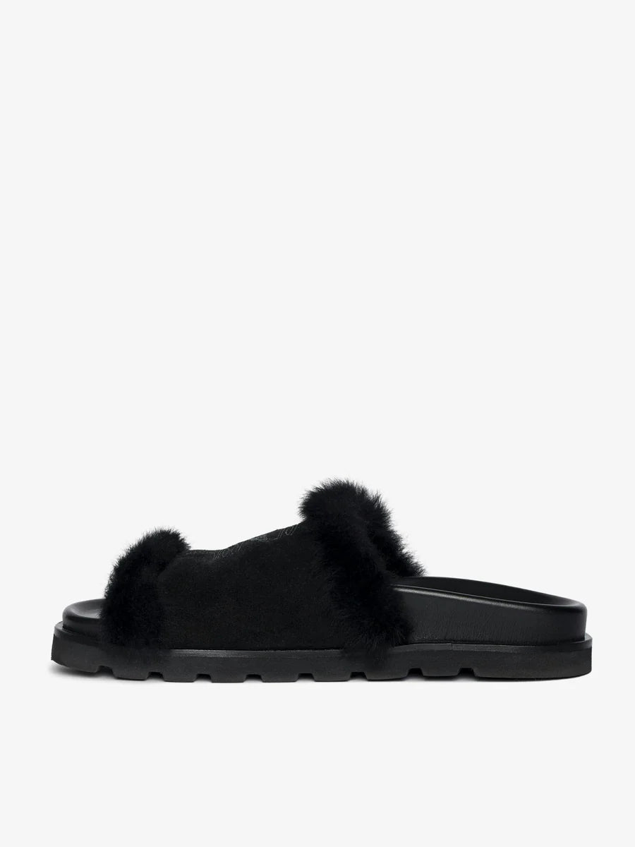 TEDDY BARE SHEARLING