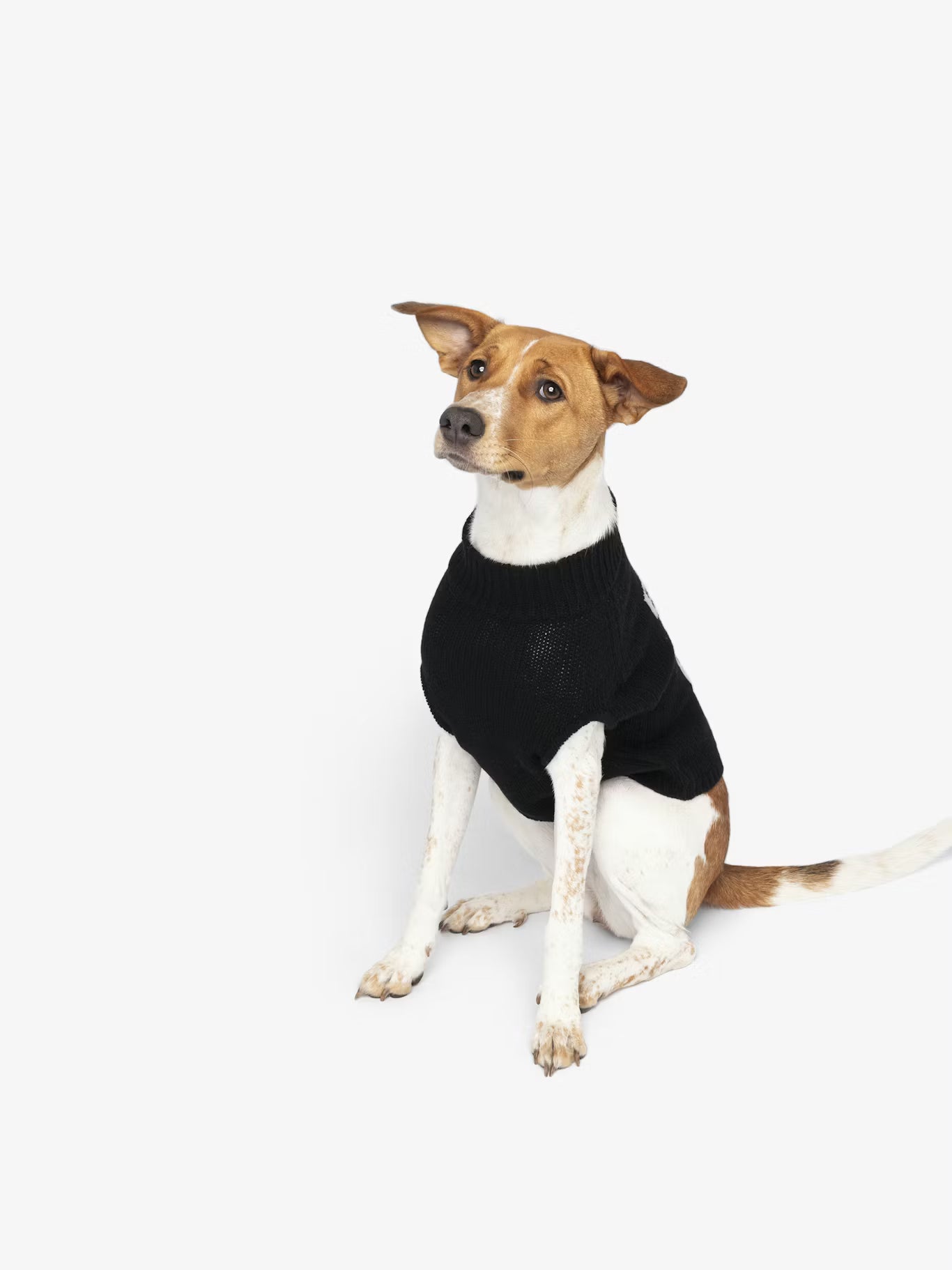 ZADOG WE SWEATER