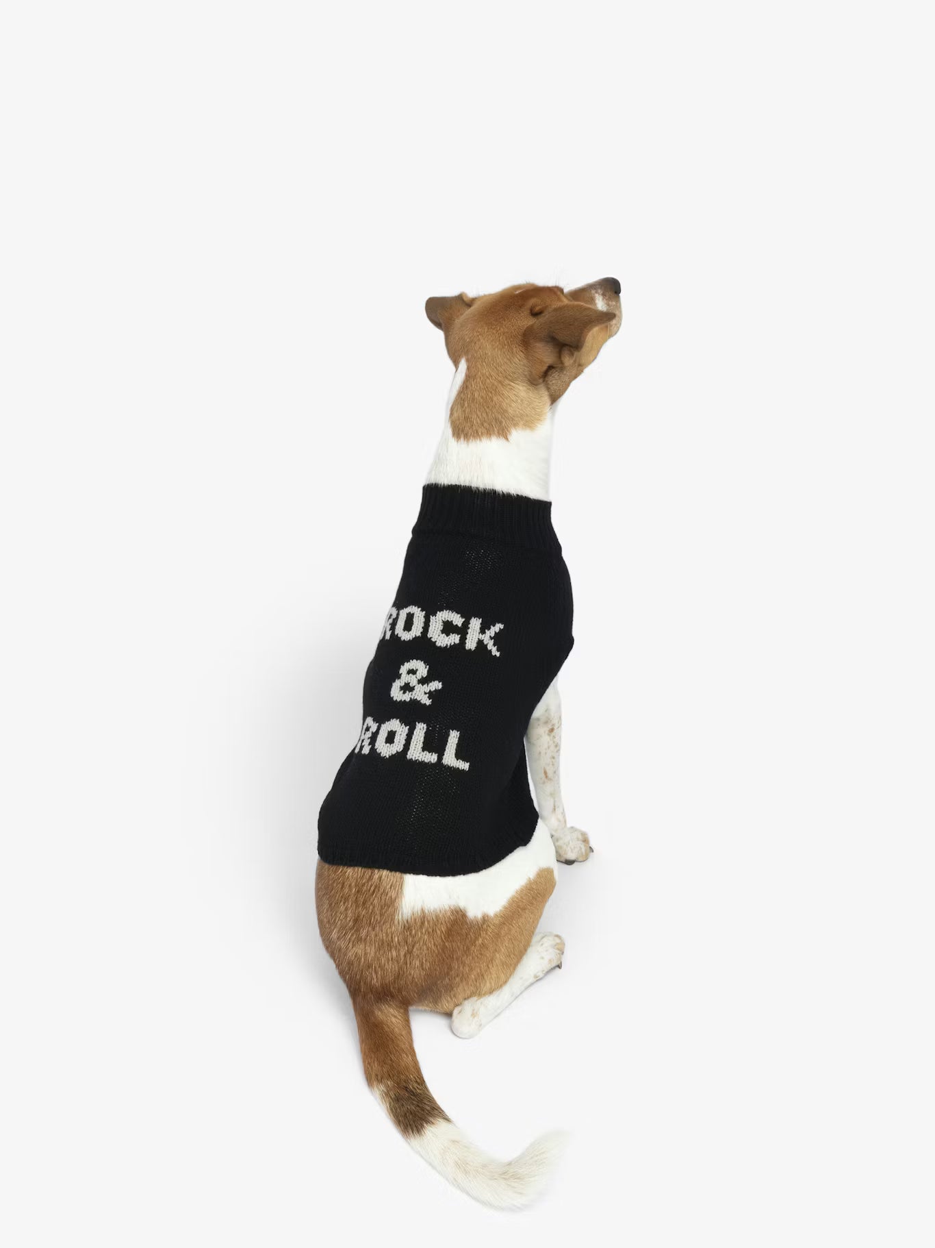 ZADOG WE SWEATER