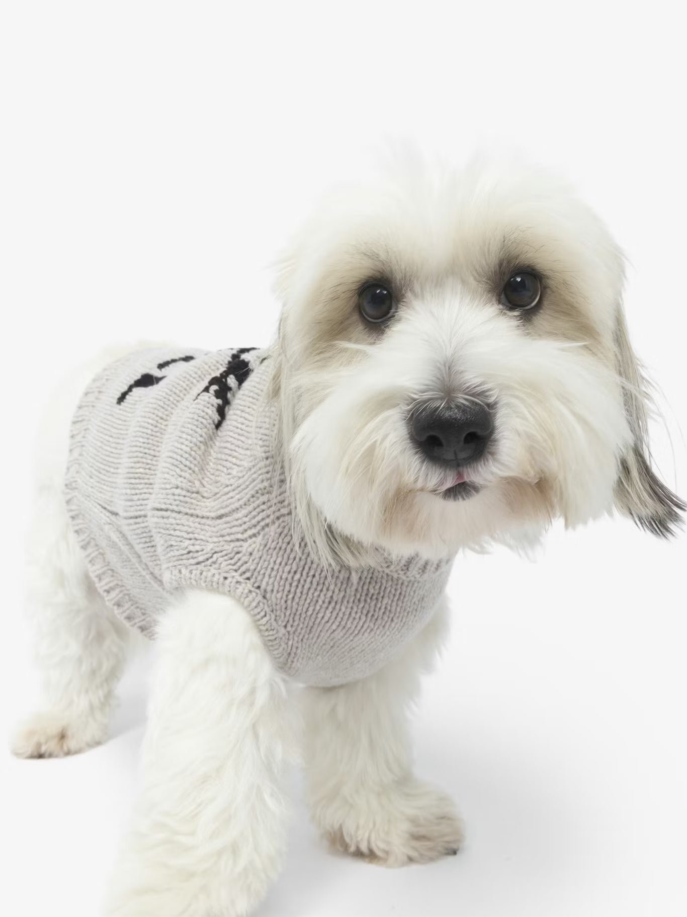 ZADOG WE SWEATER