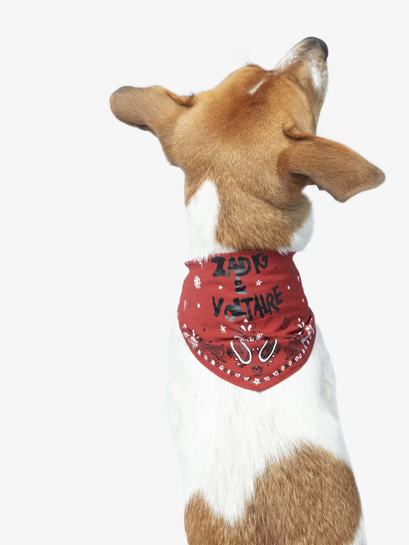ZADOG BANDANA