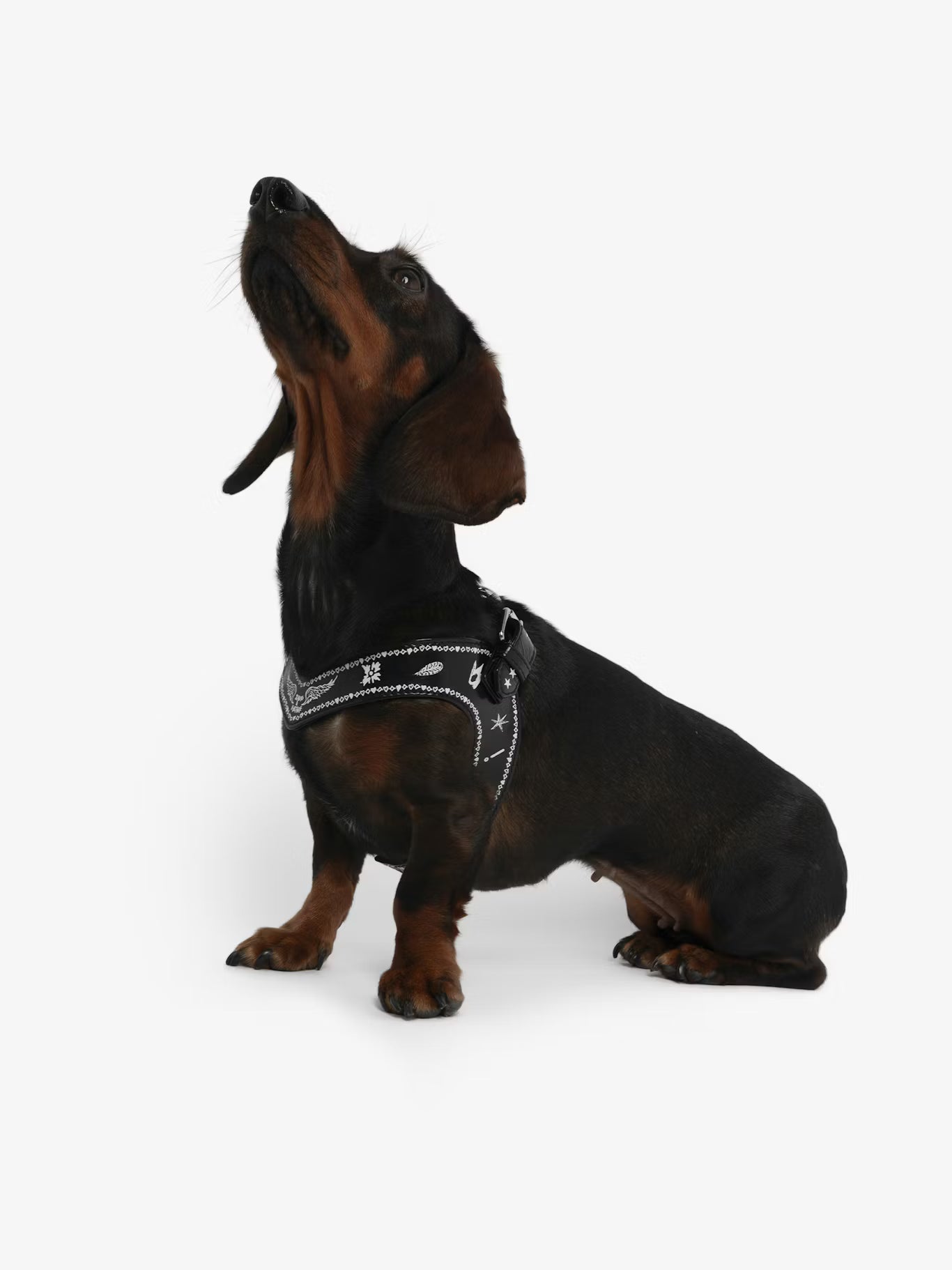 ZADOG HARNESS