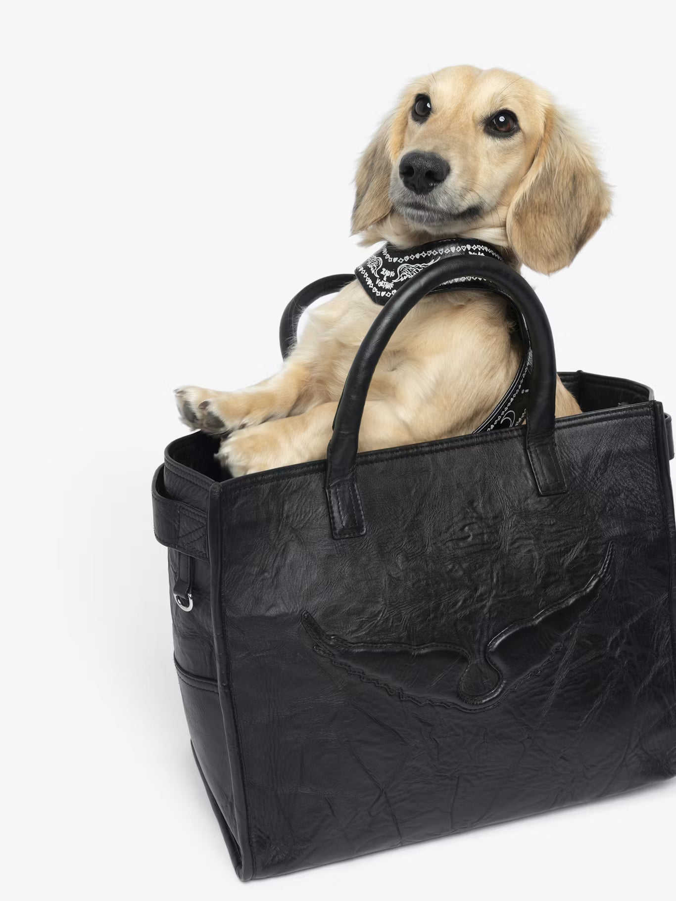 ZADOG HARNESS