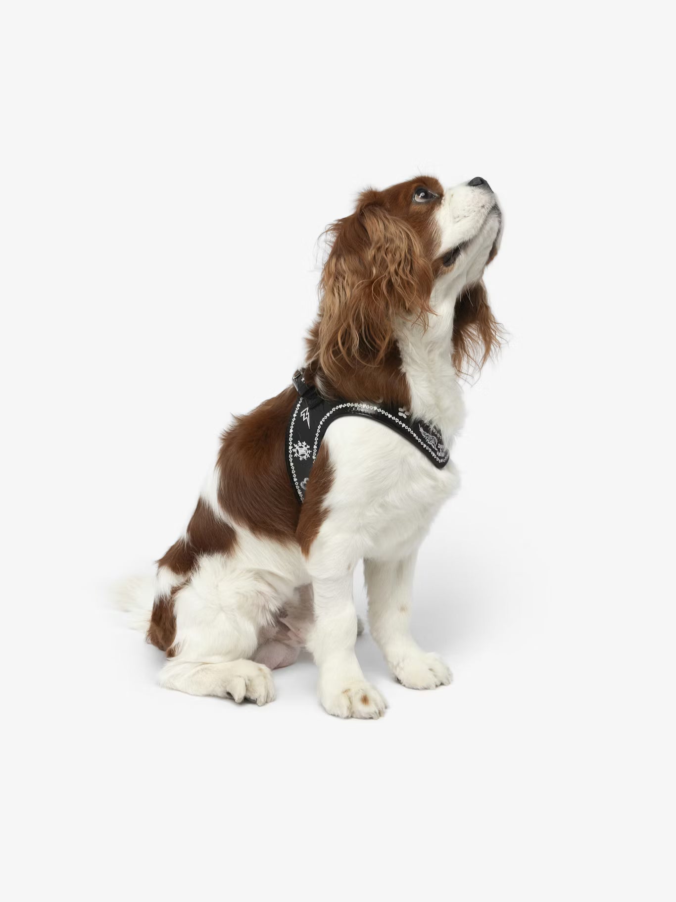ZADOG HARNESS