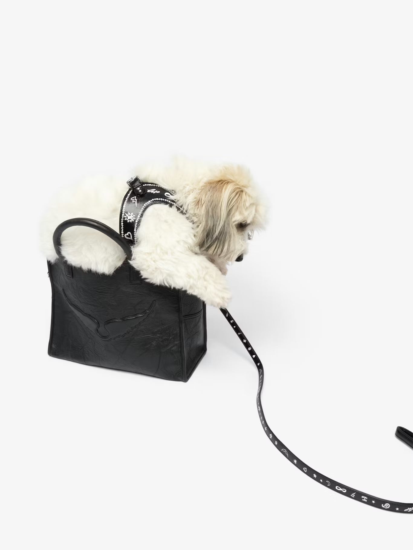 ZADOG HARNESS