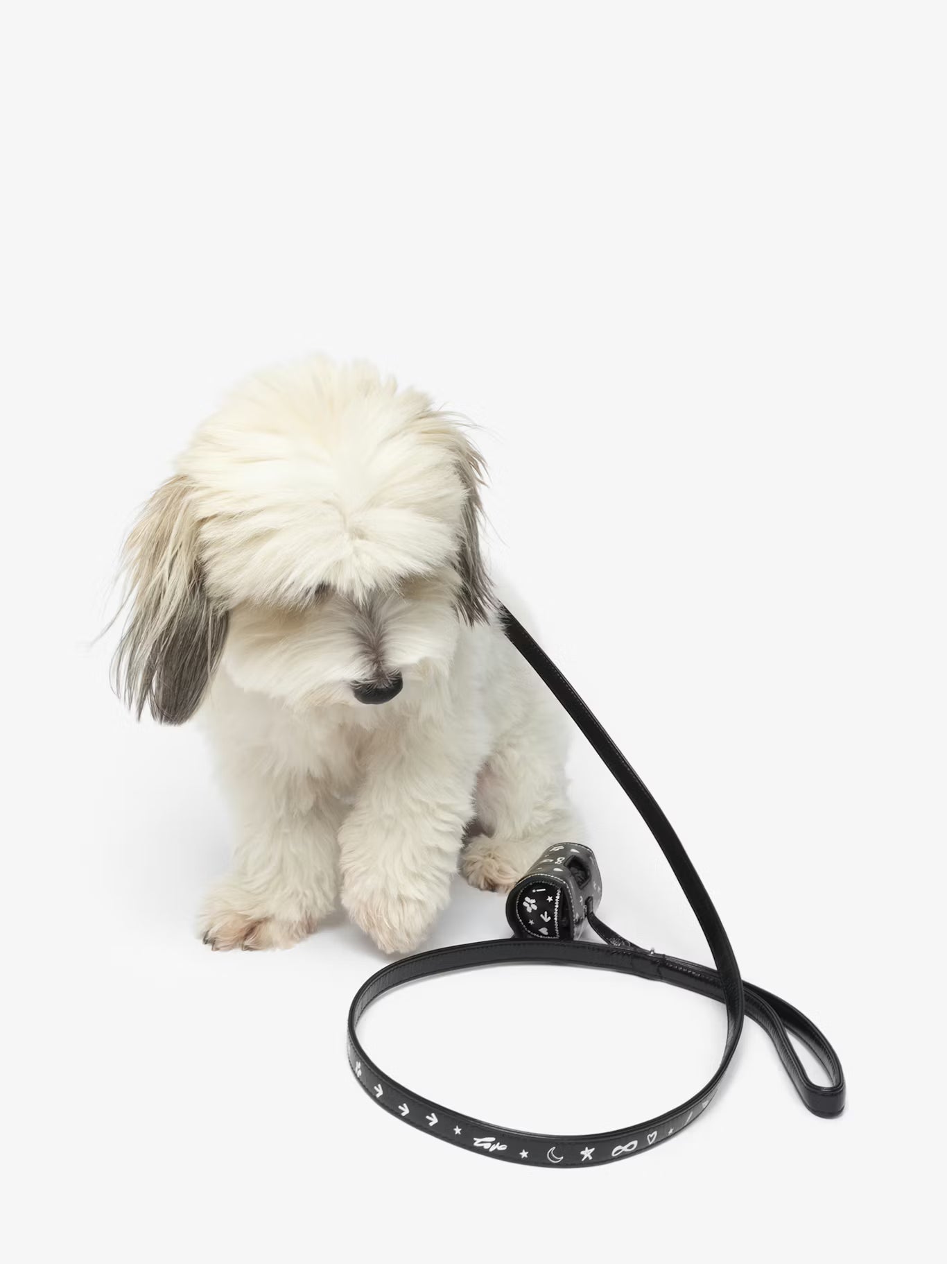 ZADOG BAG