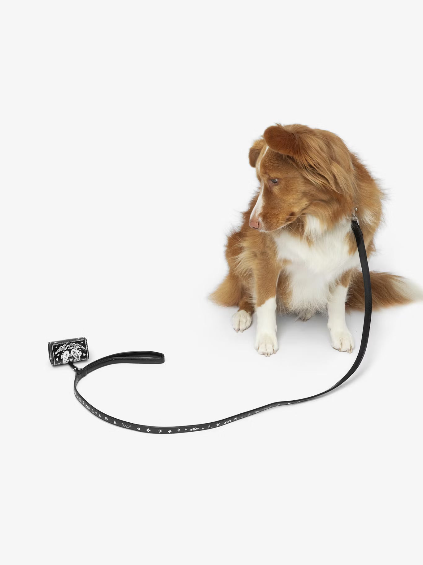 ZADOG BAG
