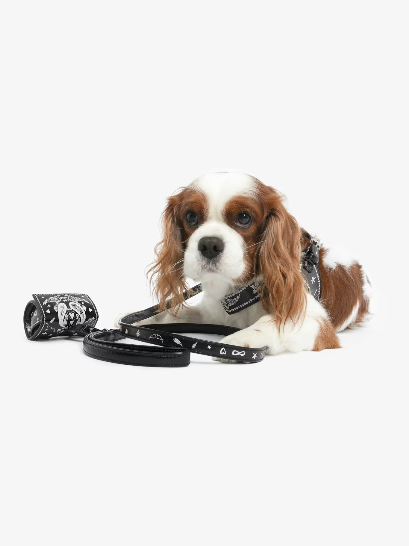 ZADOG BAG