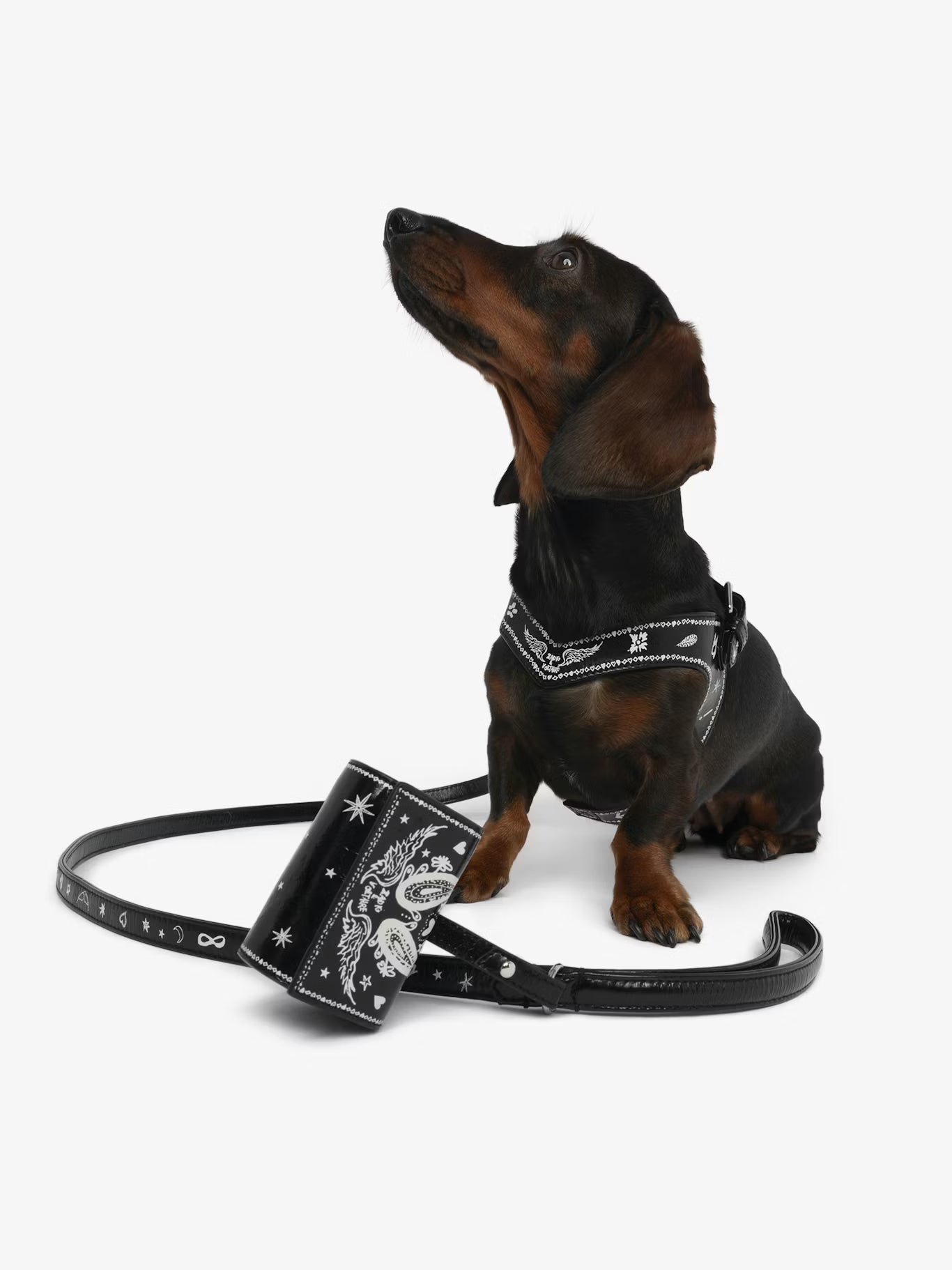 ZADOG BAG
