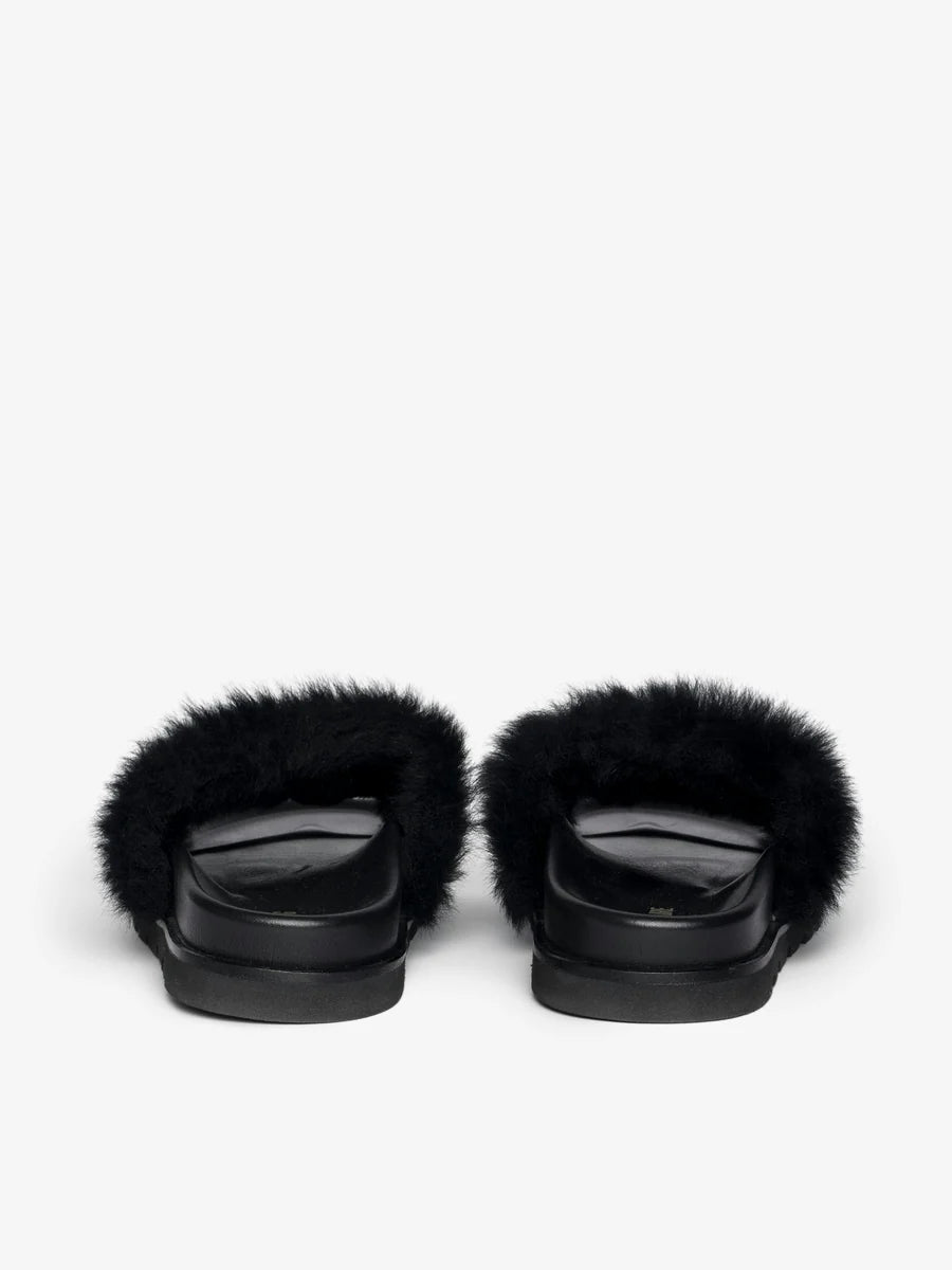 TEDDY BARE SHEARLING