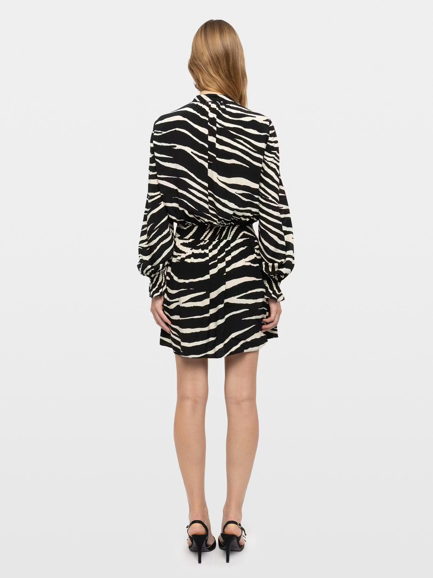 RAYADO SOFT ZEBRA SHOW
